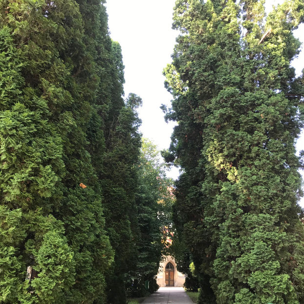  - Suceava_Romania 2019