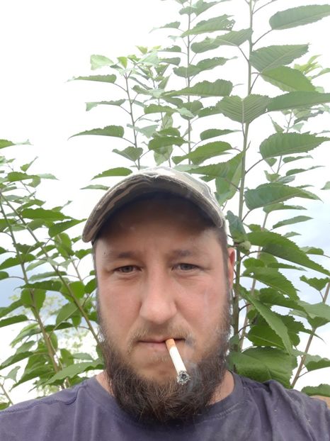  - Livada 1 anul ll 2019