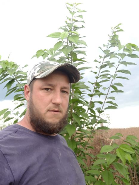  - Livada 1 anul ll 2019