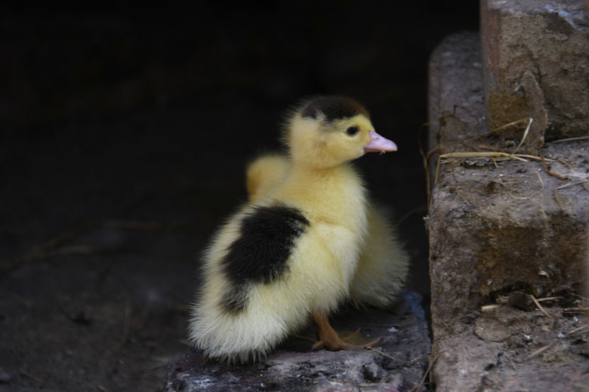  - 03 Rate lesesti 2019