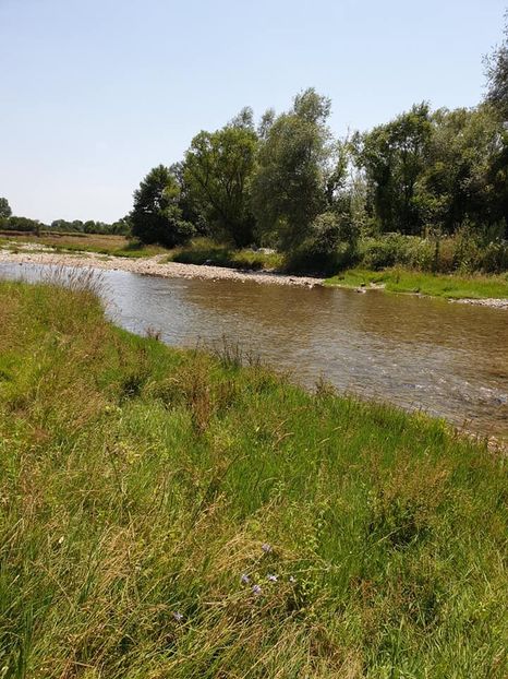  - La iarbă verde în iulie 2019