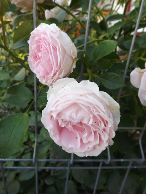  - Wellenspiel - an 3