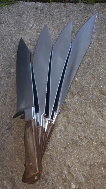  - Cutite pentru carnuit - transat Iunie 2019