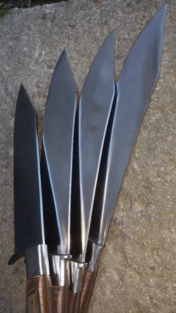  - Cutite pentru carnuit - transat Iunie 2019