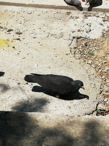  - A ramas o amintire