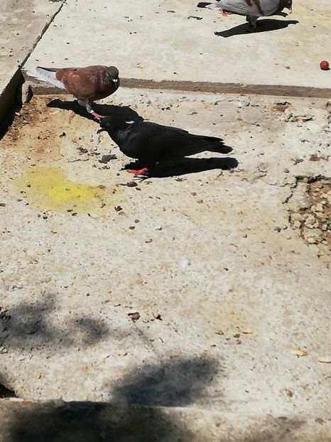  - A ramas o amintire