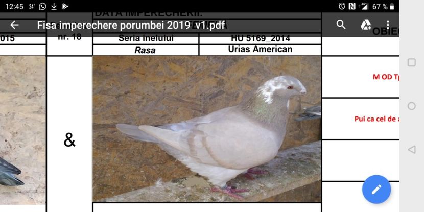 Screenshot_20190709-124509 - Urias American