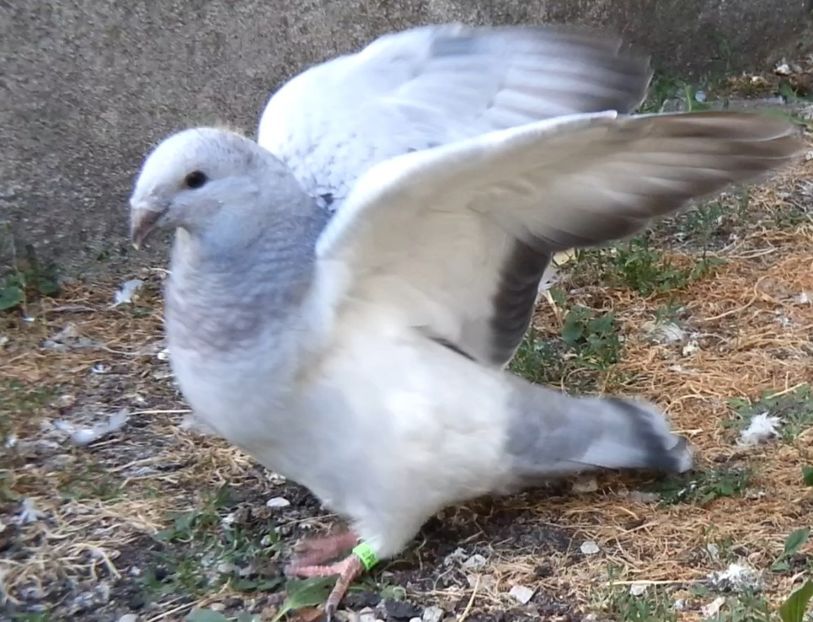 U-551 ARCHIWUM - f- MLODE -2019- Youth