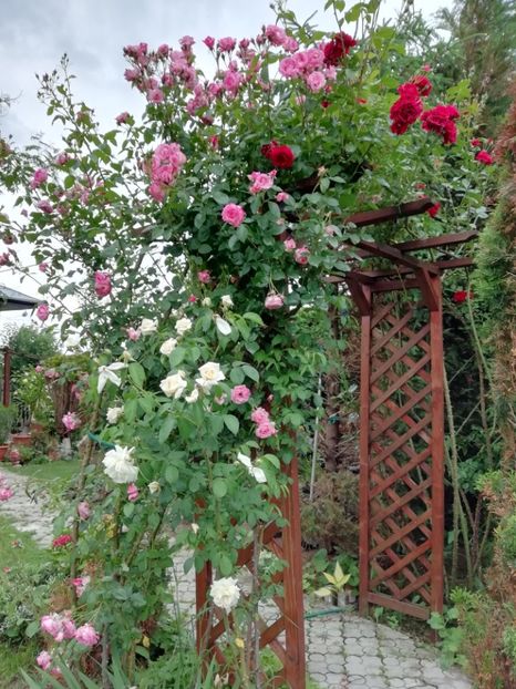  - Gradina 2019