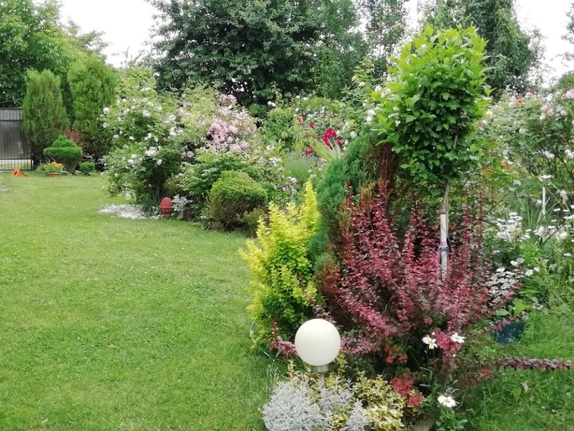 - Gradina 2019