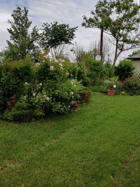  - Gradina 2019