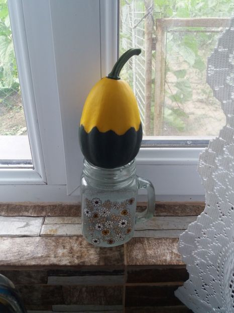 dovlecel decorativ - gradina 2019