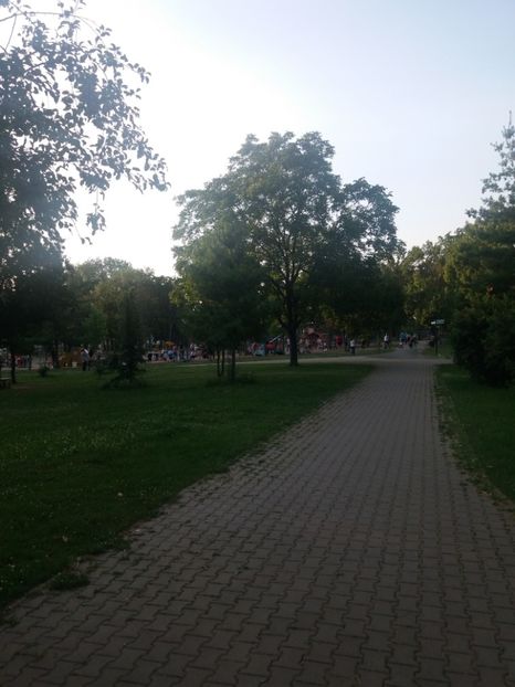  - Parcul Lidia Timișoara