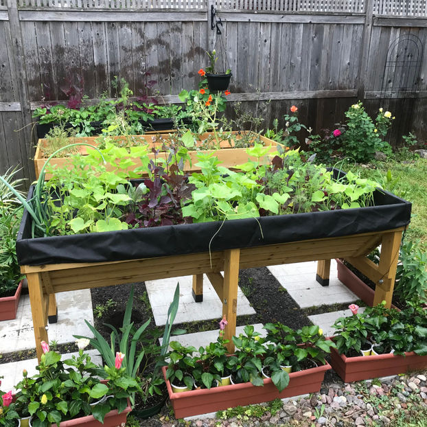  - Jurnalul gradinii 2019