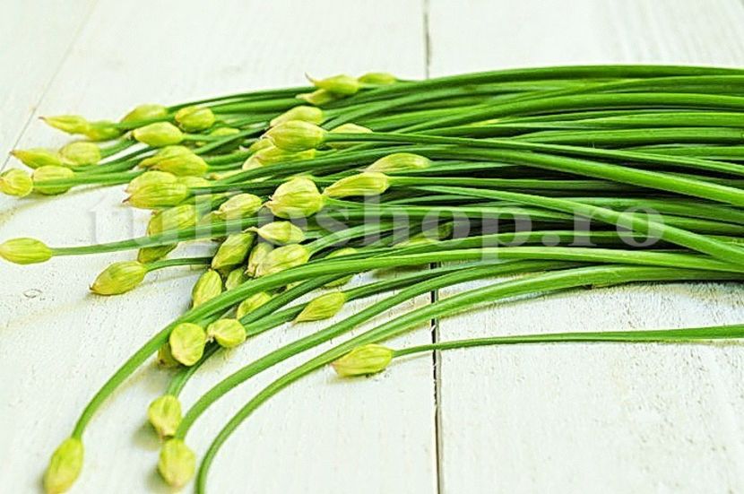 Seminte cepsoara Garlic Chives 500buc. - Seminte legume Dec 2019