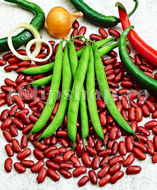Seminte fasole Canadian Wonder 100buc. - Seminte legume Dec 2019