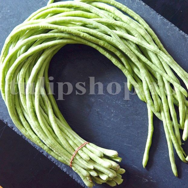 Seminte fasole verde Metro Marone 50buc. - Seminte legume Dec 2019