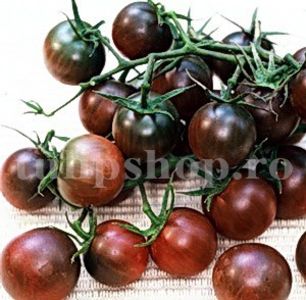 Seminte tomate Black Cherry 200buc. - Seminte legume Dec 2019