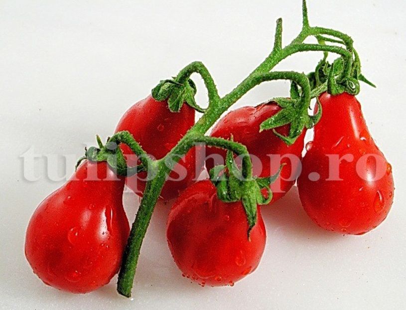 Seminte tomate Red Fig 100buc. - Seminte legume Dec 2019