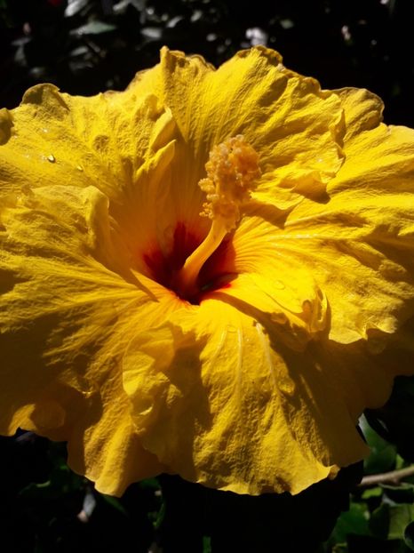  - Talmeș balmeș 2019