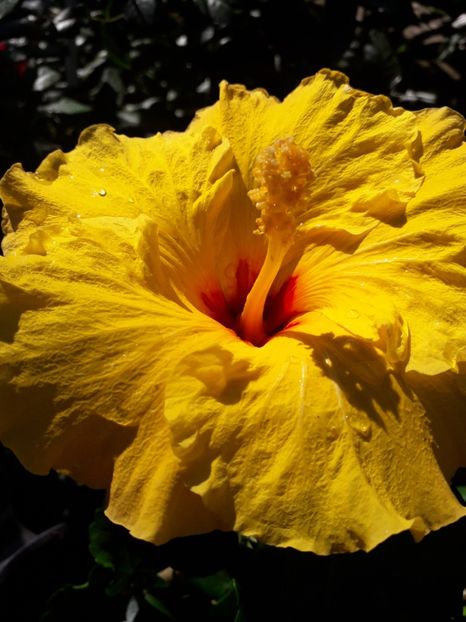  - Talmeș balmeș 2019