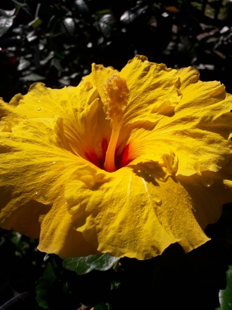  - Talmeș balmeș 2019