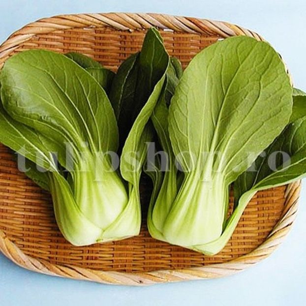 Seminte varza Pak Choi 500buc. - Seminte legume Dec 2019