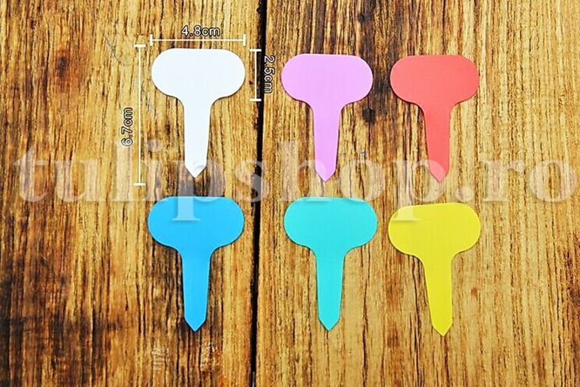 Etichete plante plastic multicolore oval - Etichete decorative