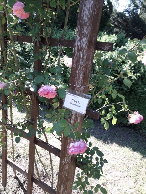  - 7 Gradina Botanica 2019