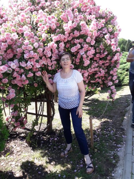  - 7 Gradina Botanica 2019