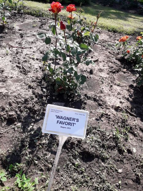  - 7 Gradina Botanica 2019