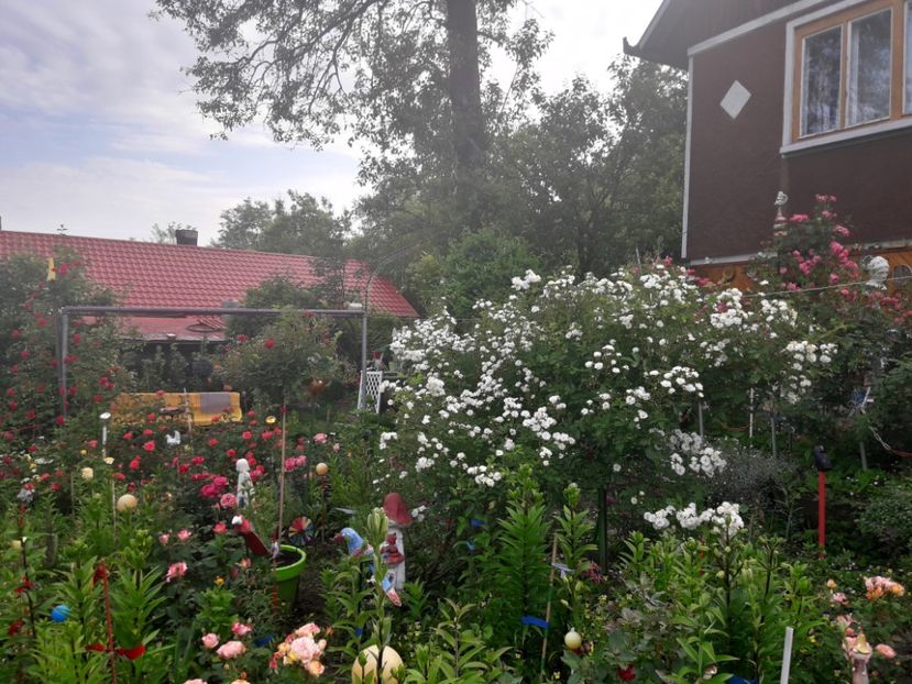  - IMAGINI MIXTE GRADINA 2019