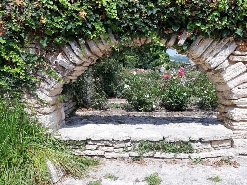 Vedere catre gradina de roze - De prin gradina botanica Balcic 2019