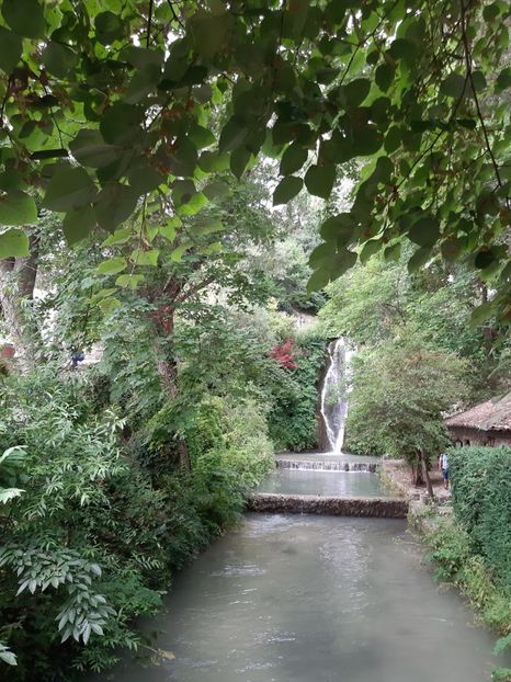 Cascada si cu artar japonez rosu - De prin gradina botanica Balcic 2019