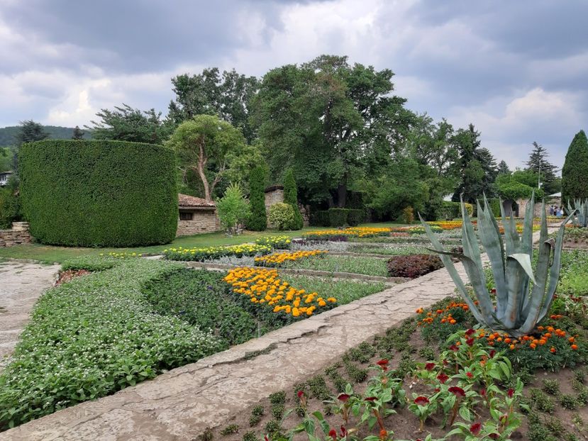  - De prin gradina botanica Balcic 2019