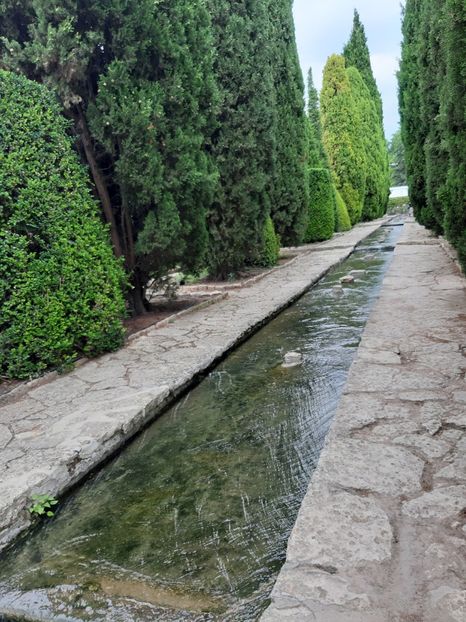 Parau si chiparosi - De prin gradina botanica Balcic 2019