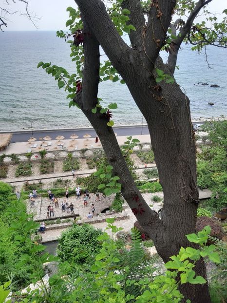 Marea vazuta din fara serei de cactusi pe domeniul Reginei Maria - De prin gradina botanica Balcic 2019