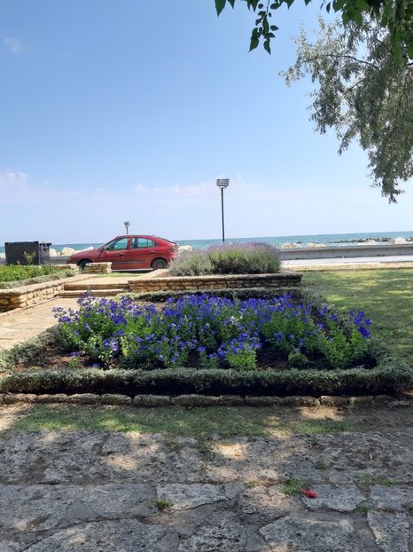  - De prin gradina botanica Balcic 2019