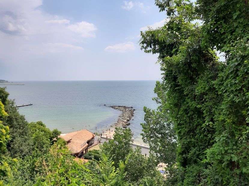  - De prin gradina botanica Balcic 2019