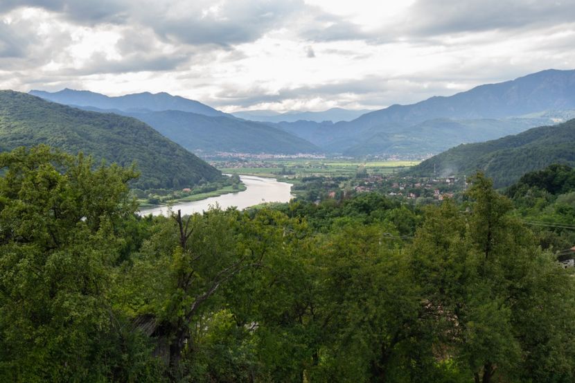 12.07.2019 - 1 Gradina mea