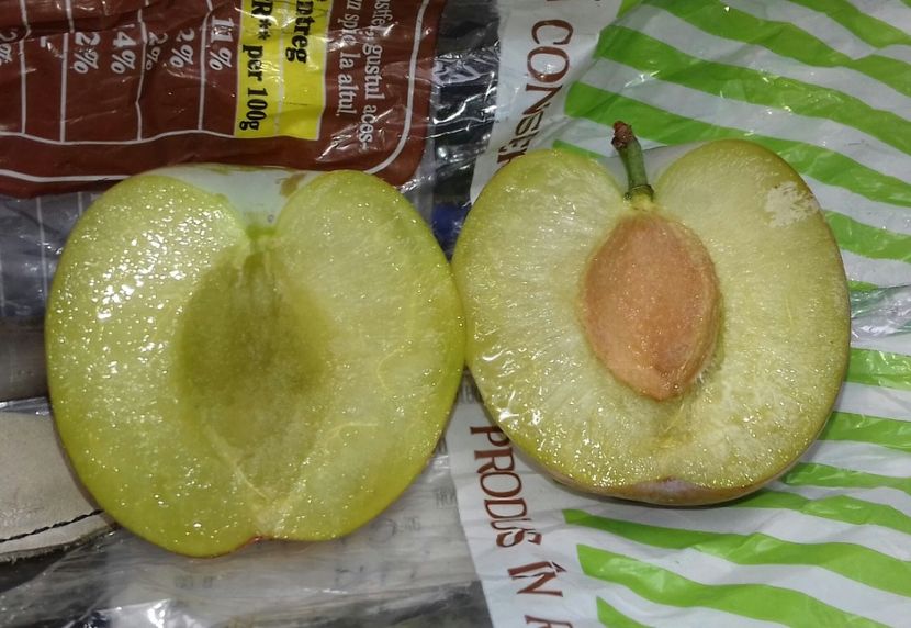 20190715_115535-1 - Diana ?