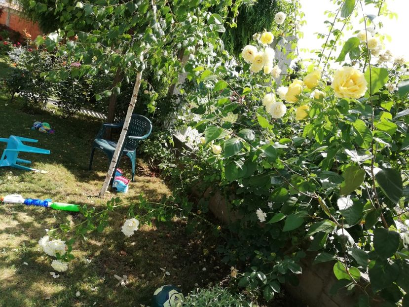  - Cyrano de Bergerac