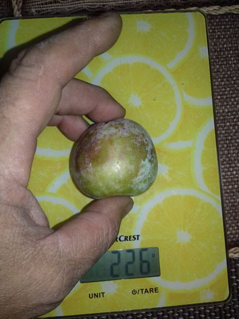  - Sermina este soiul de fapt credeam că este Renclod Althan