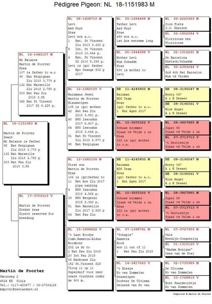 NL18-1151983 - PORUMBEI CE II AM IN AMERICA
