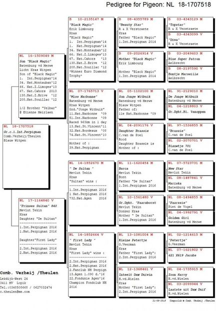 Compustam_18-1707518_5gentek2 - PORUMBEI CE II AM IN AMERICA