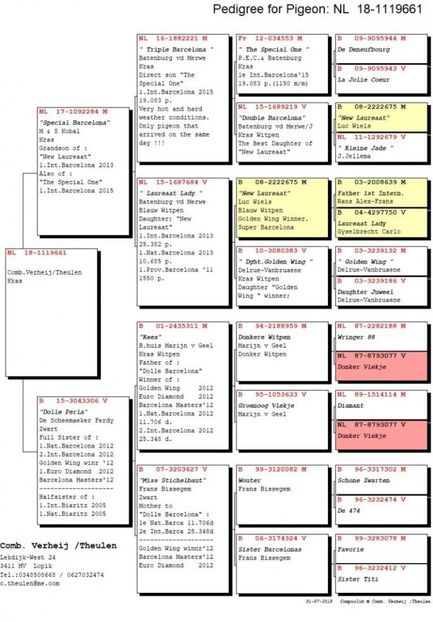 Compustam_18-1119661_Child Dolle Perla - PORUMBEI CE II AM IN AMERICA