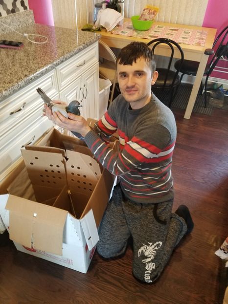  - PORUMBEI CE II AM IN AMERICA