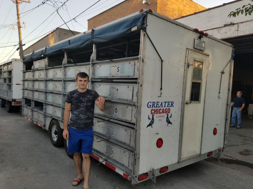  - PORUMBEI CE II AM IN AMERICA