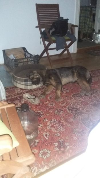 In lumea viselor - Rhaegar