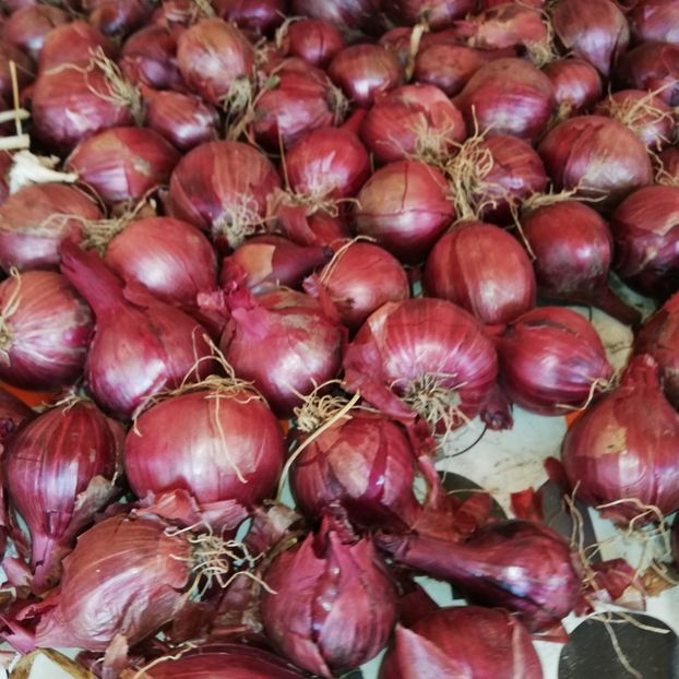  - 0-2019 - De prin curte